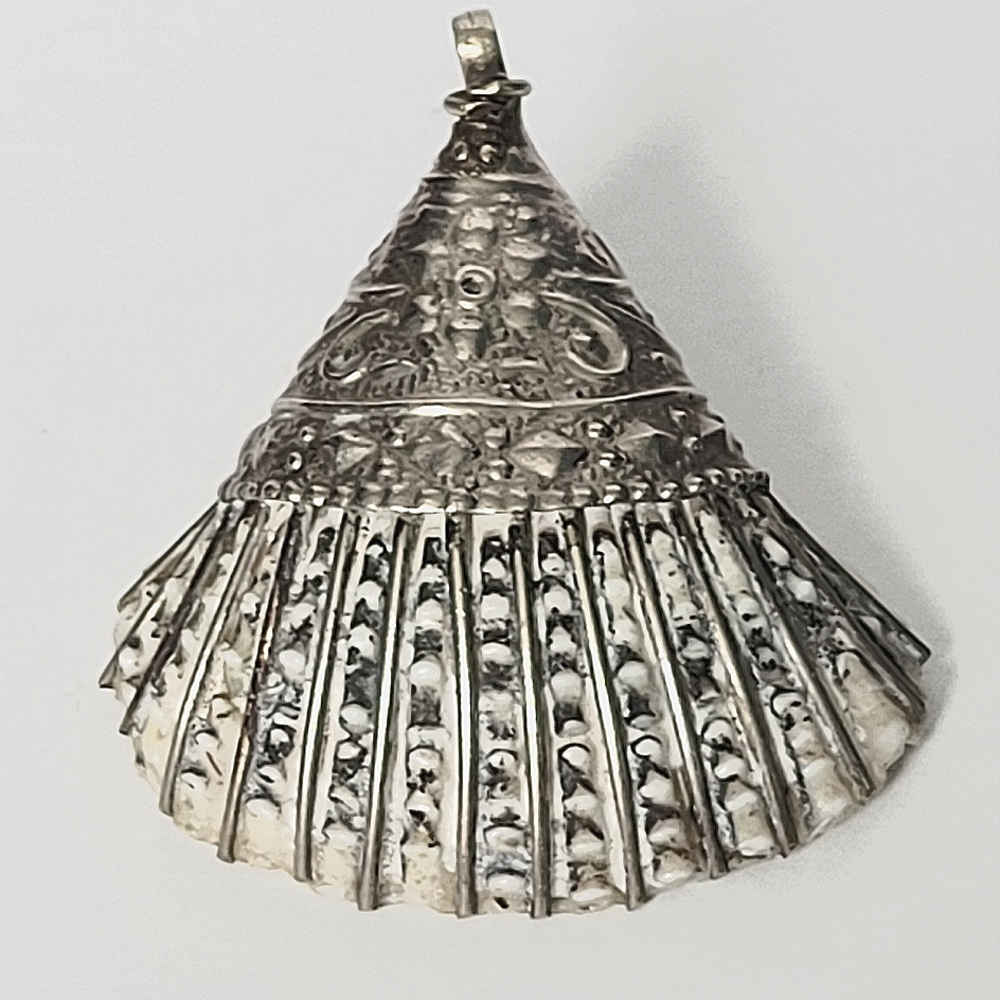 Unique seashell pendant covered in silver.